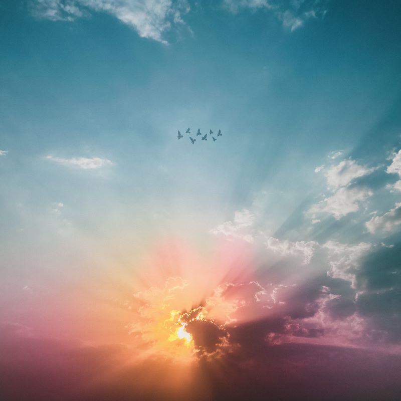 Blue, yellow, and pink sunrise with flying birds