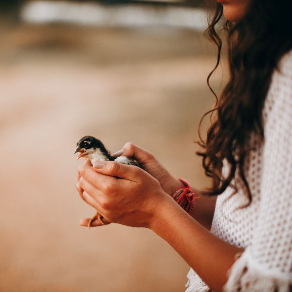 Woman dressed in white holding small bird in her hands